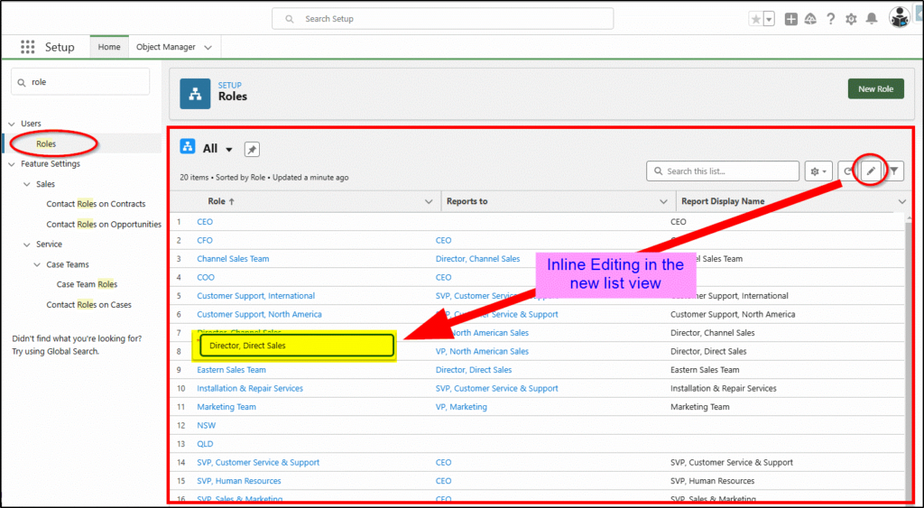 the new role view